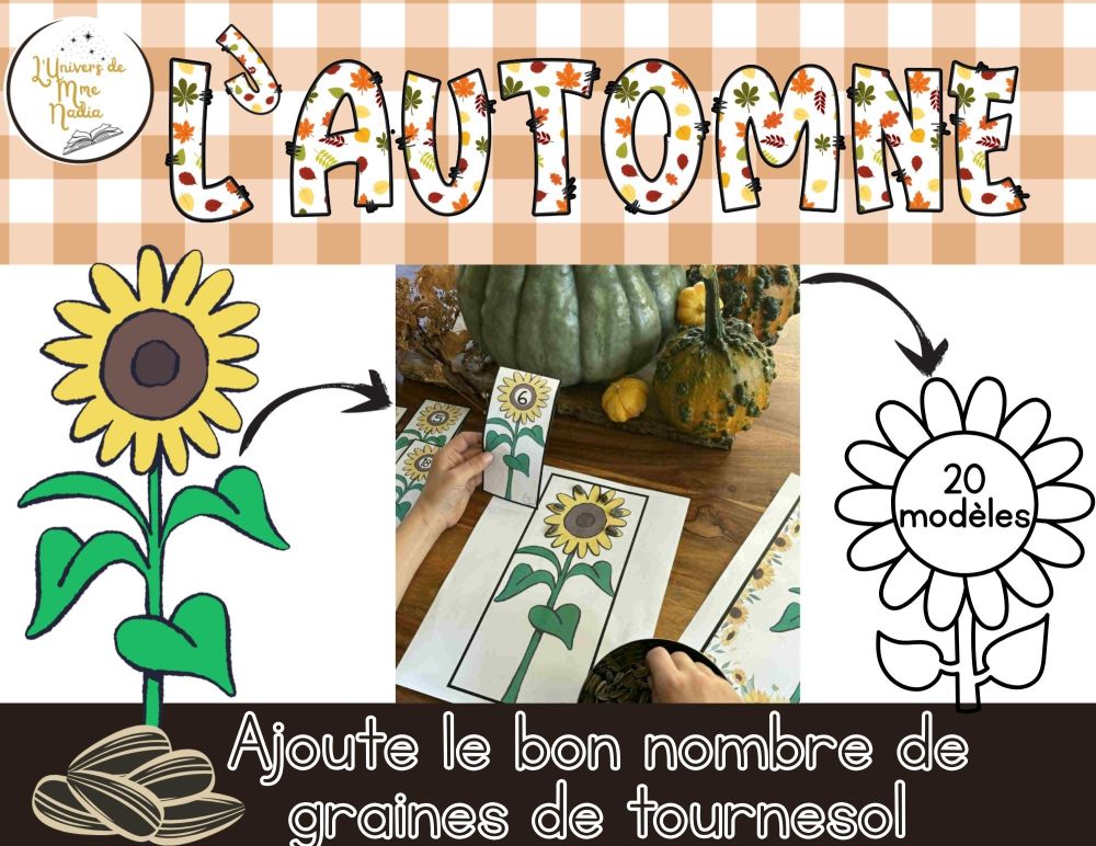 Le tournesol - Ajoute le bon nombre de graines