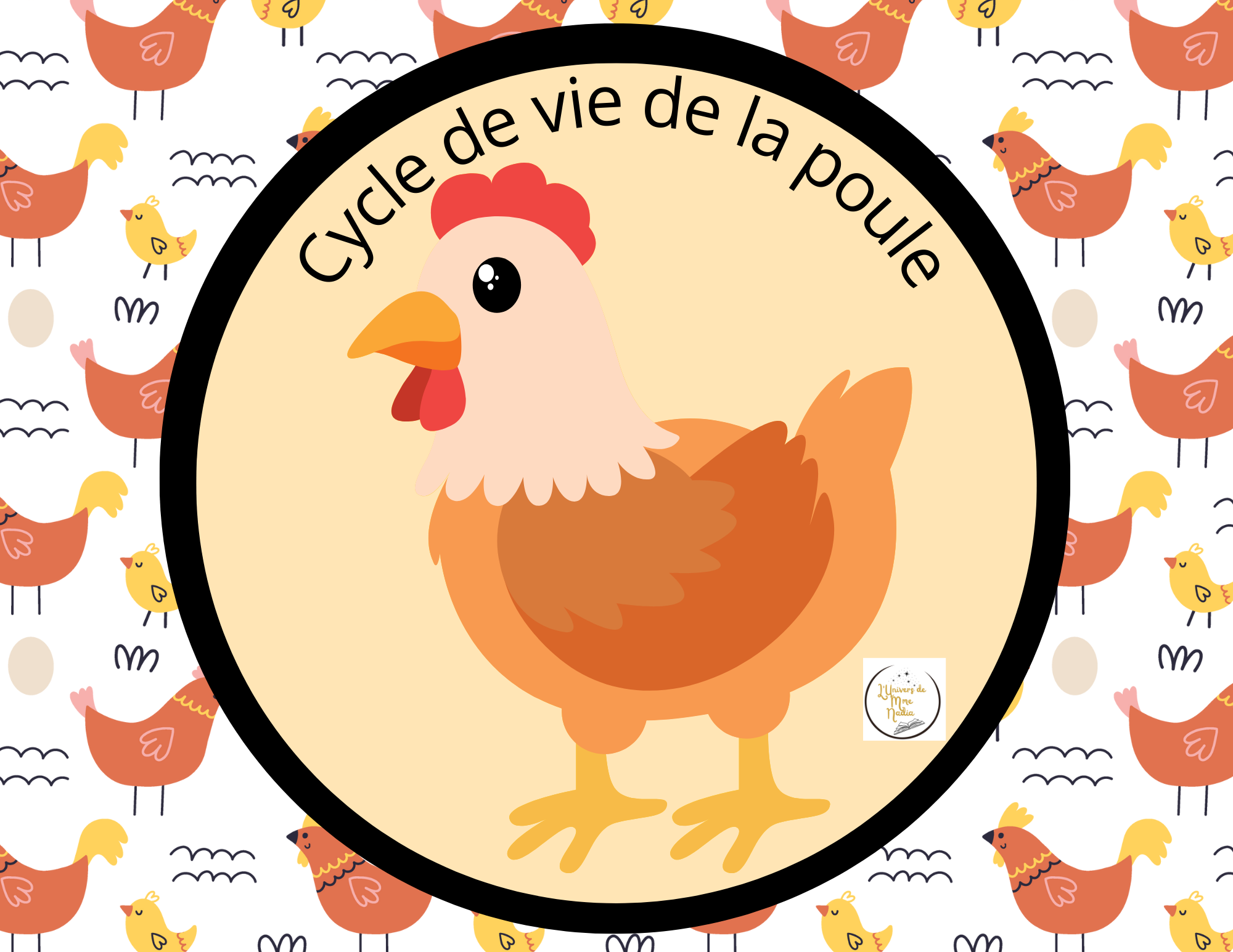 Le cycle de vie de la poule