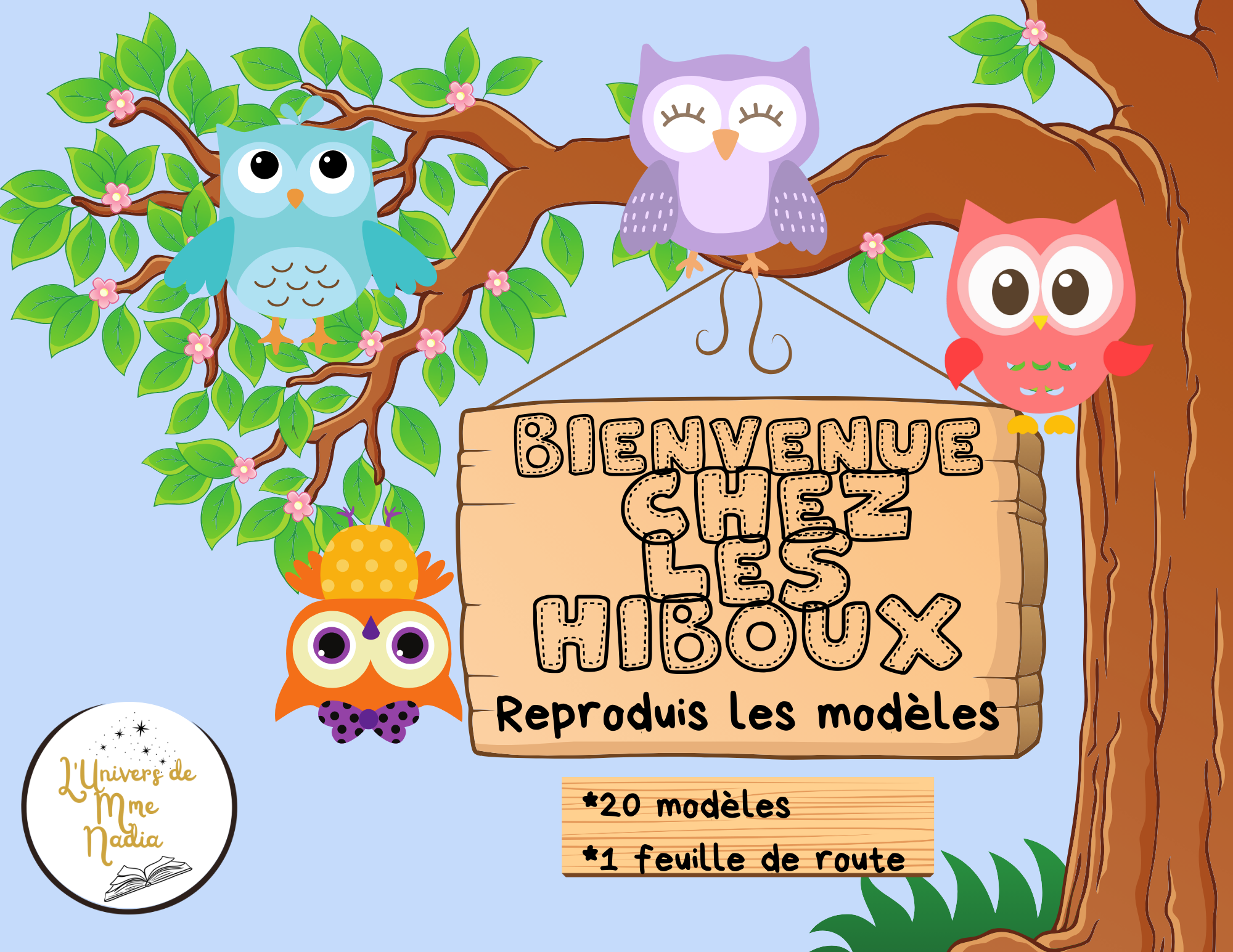 Bienvenue chez les hiboux