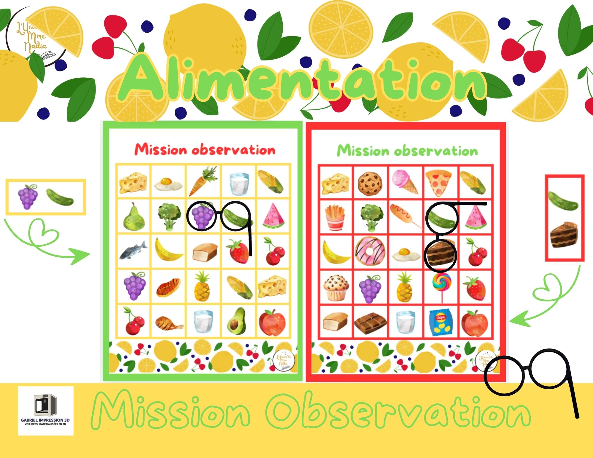 Mission Observation -Alimentation