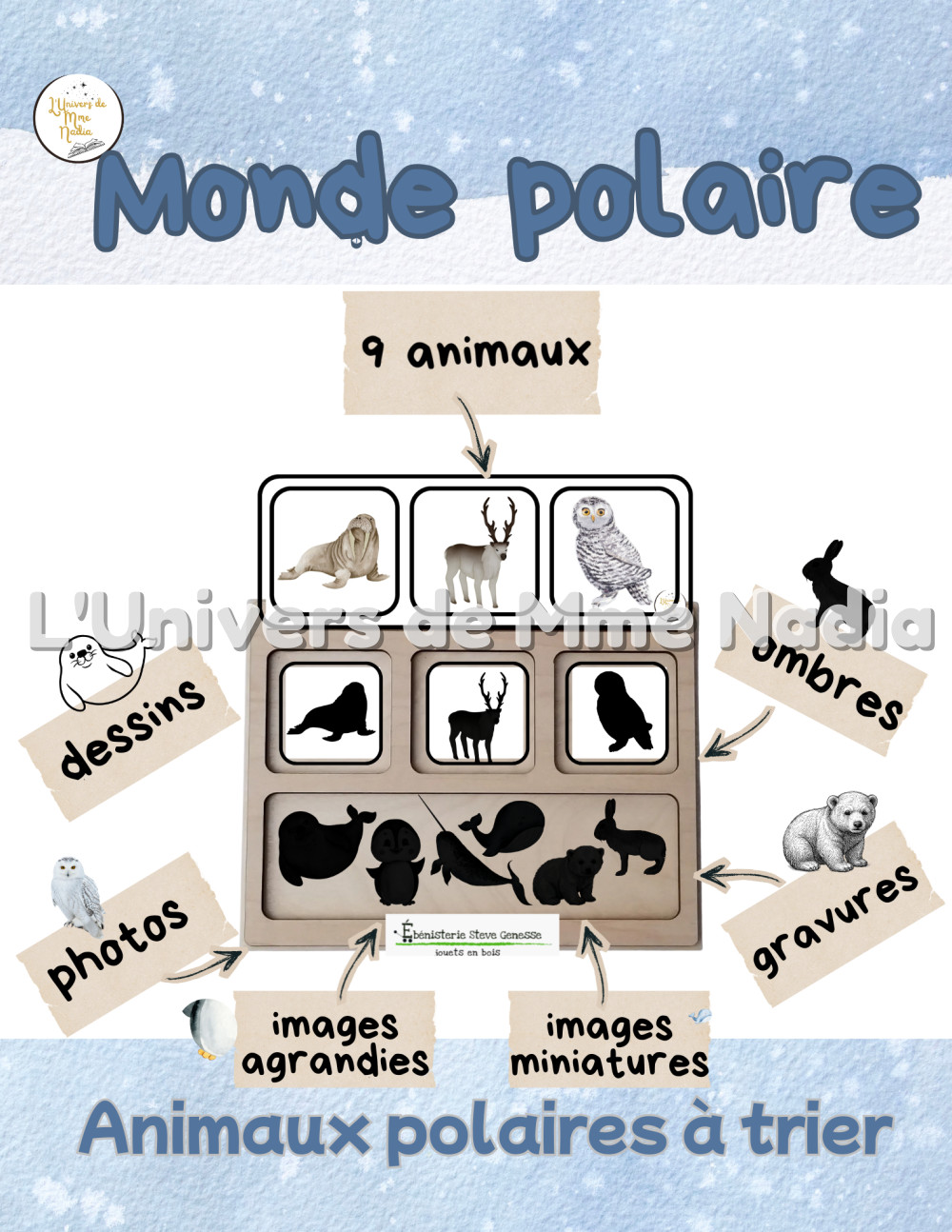 Plateau de tri-Les animaux polaires