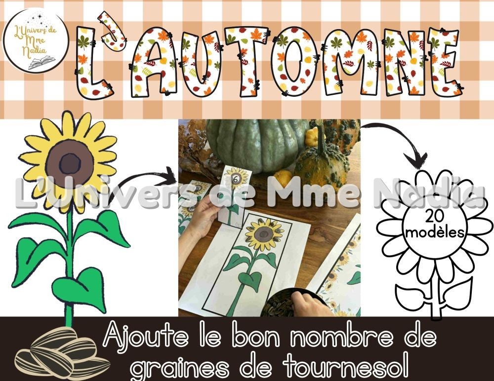 Le tournesol - Ajoute le bon nombre de graines