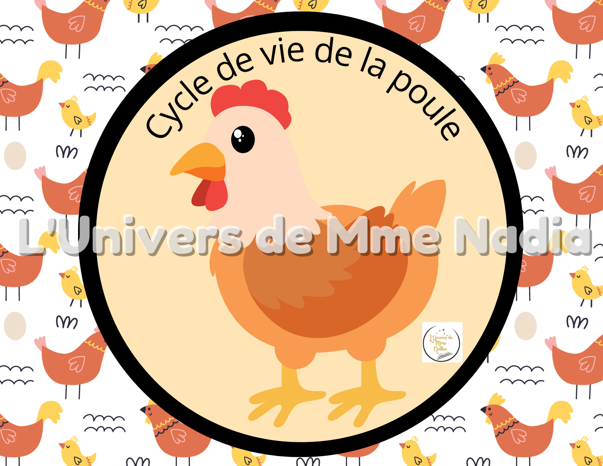 Le cycle de vie de la poule