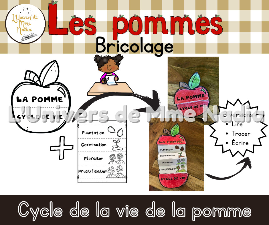 Bricolage - Cycle de vie de la pomme
