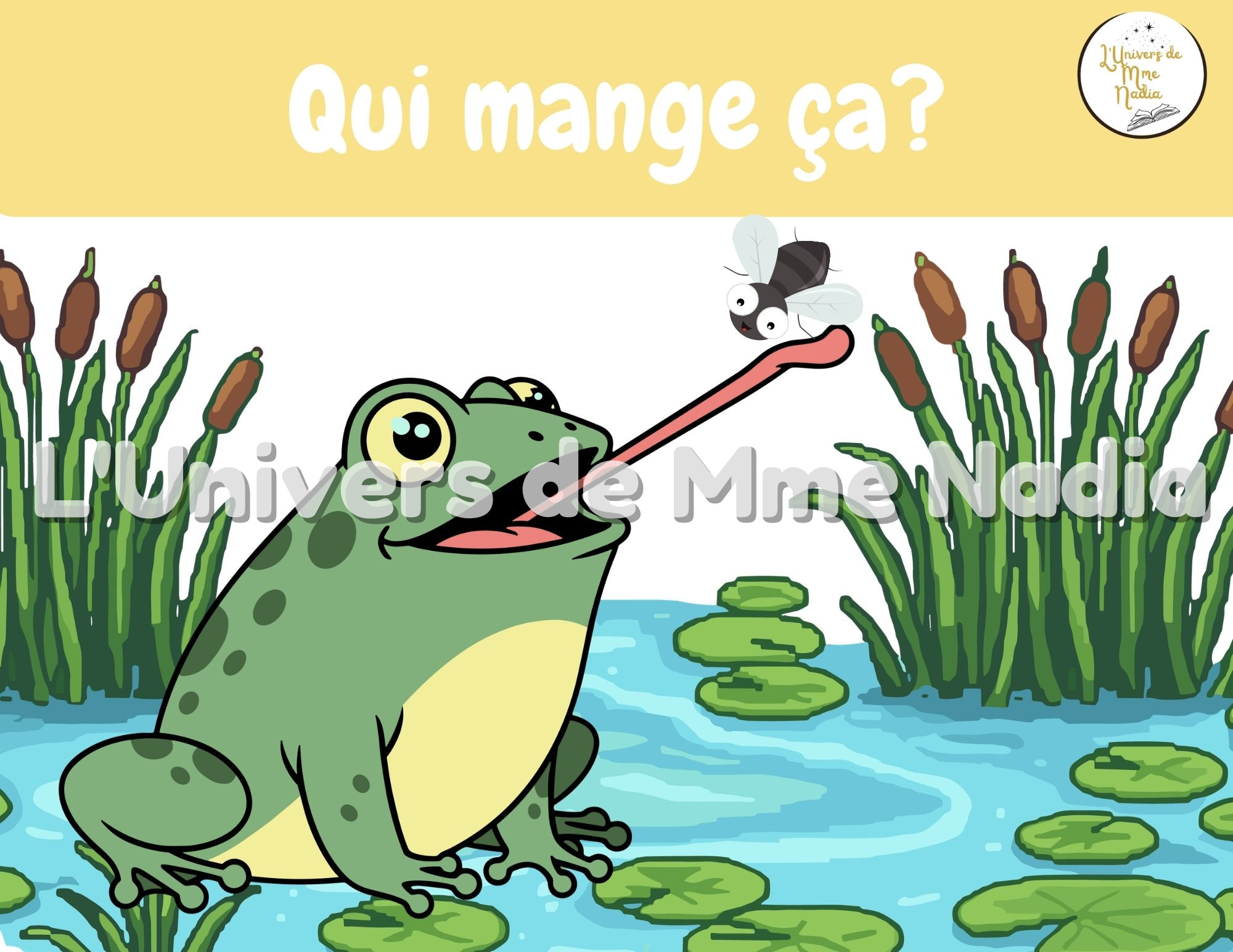 Kamishibaï- Qui mange ça?